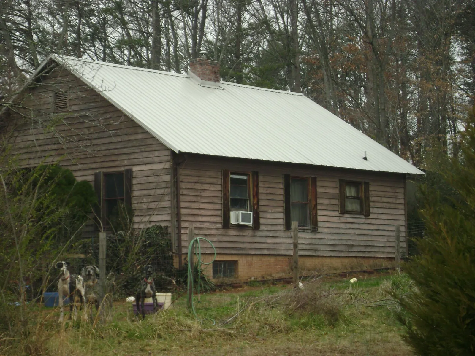 White metal roof on an old wood sided farmhouse, from a Asphalt Shingle Roof Repair job in Brooksville